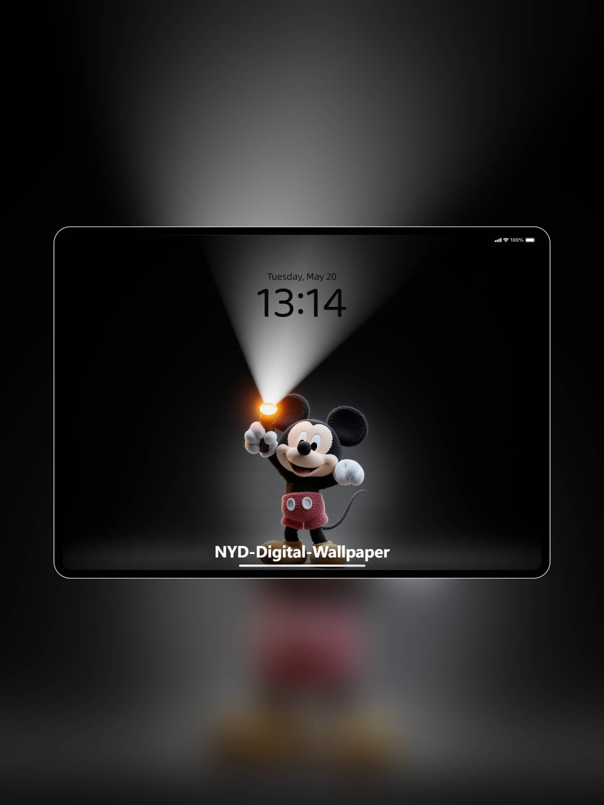 Mickey Mouse Lit
