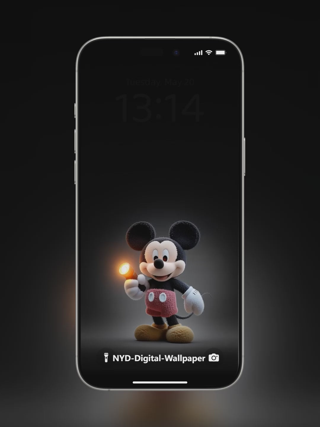 Mickey Mouse Lit